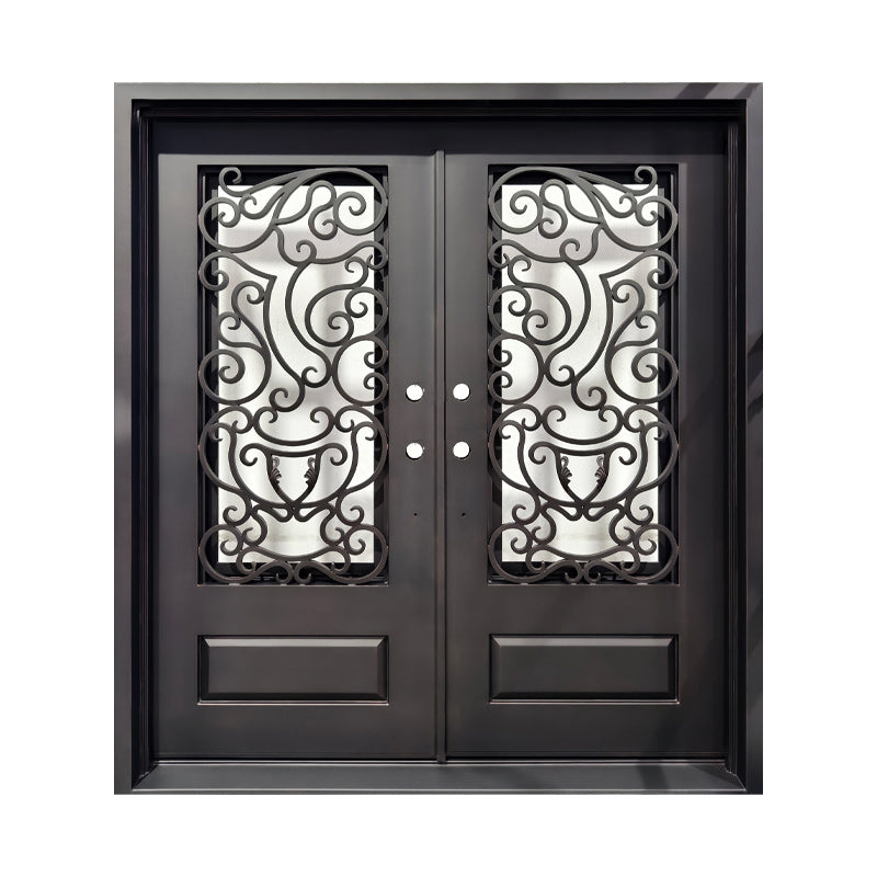 Double Iron Door C017 Unique Design