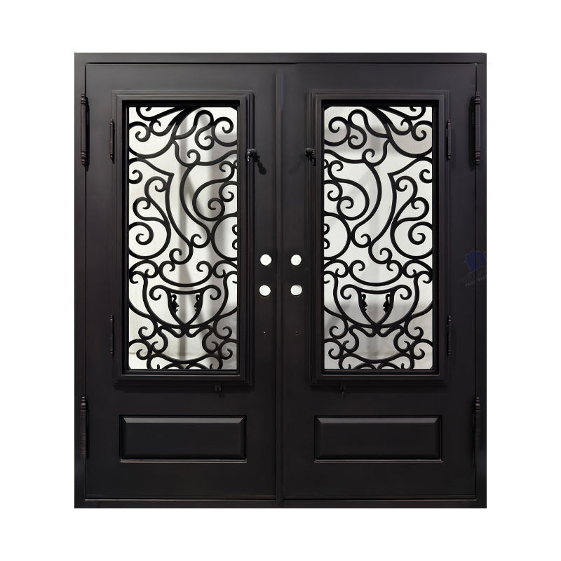 Double Iron Door C017 Unique Design
