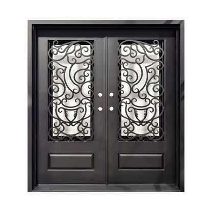Double Iron Door C017 Unique Design