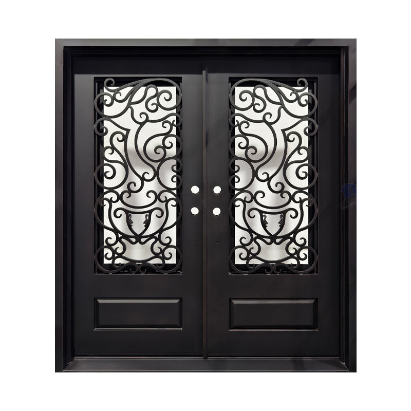 Double Iron Door C017 Unique Design
