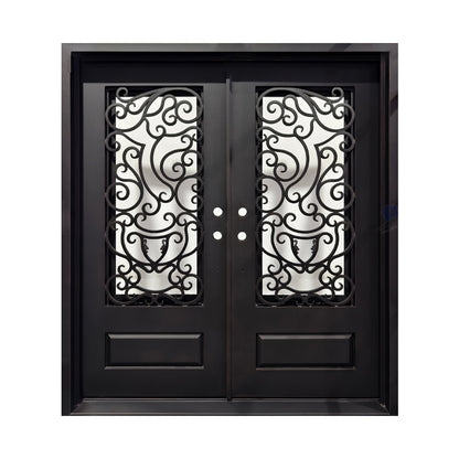 Double Iron Door C017 Unique Design